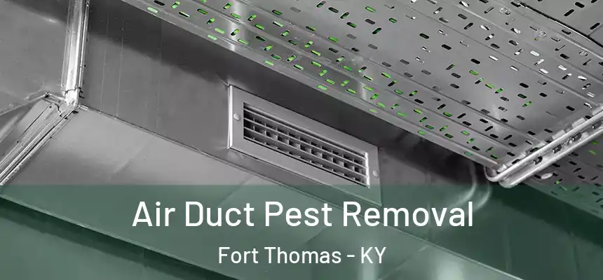Air Duct Pest Removal Fort Thomas - KY