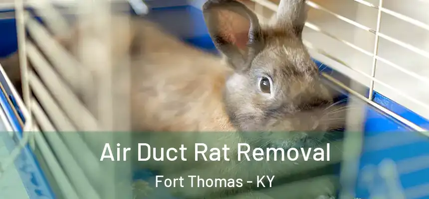  Air Duct Rat Removal Fort Thomas - KY