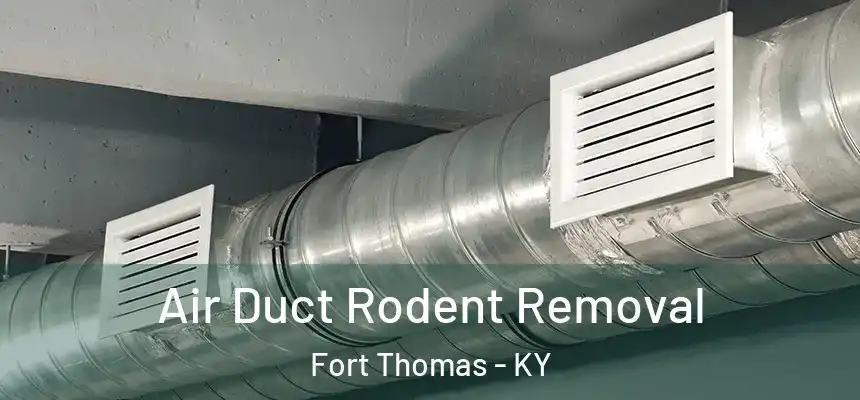  Air Duct Rodent Removal Fort Thomas - KY