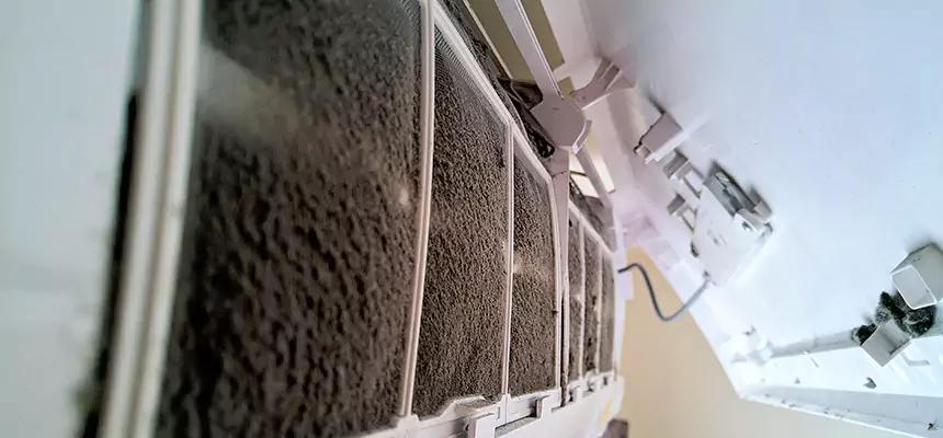 Preventive Air Duct Bacteria Removal in Fort Thomas