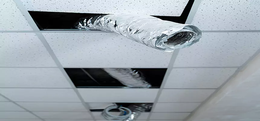 Our Air Duct Pet Hair Removal Services in Fort Thomas, KY