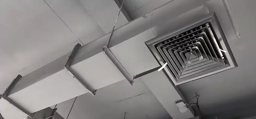 Our Pest Removal From Ducts Services in Fort Thomas, KY