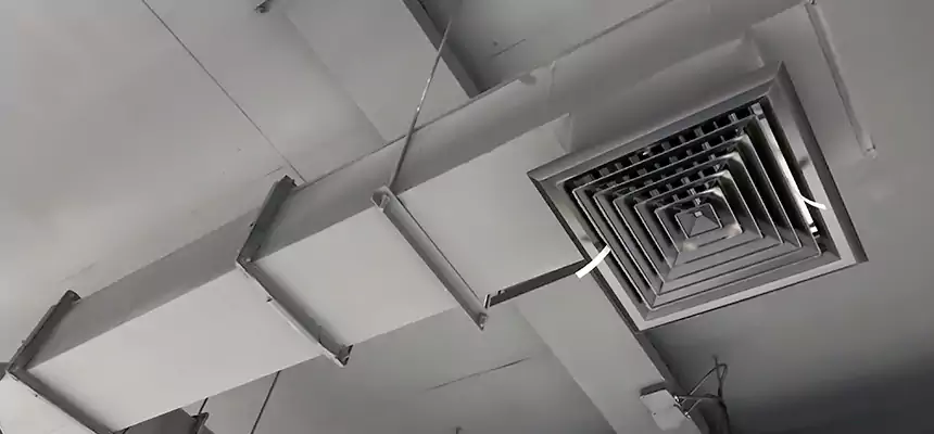 Our Rodent Droppings In Vents Services in Fort Thomas, KY