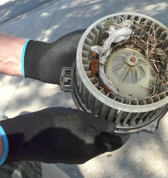 About Air Duct Mice Removal in Fort Thomas, KY