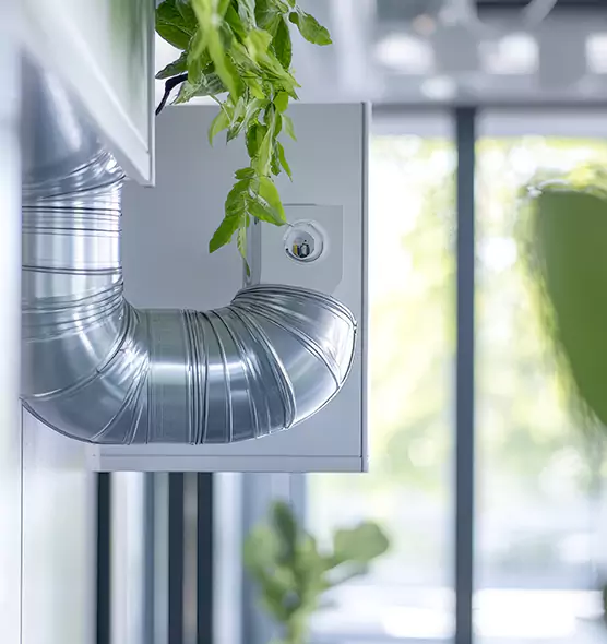 Professional Eco-Safe Dryer Vent Cleaning in Fort Thomas, KY