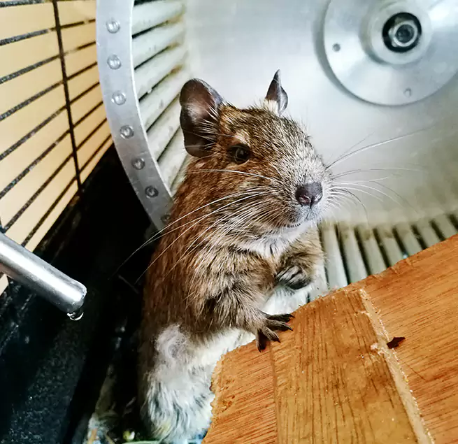 Why Homeowners & Businesses Trust Us Fort Thomas, KY?