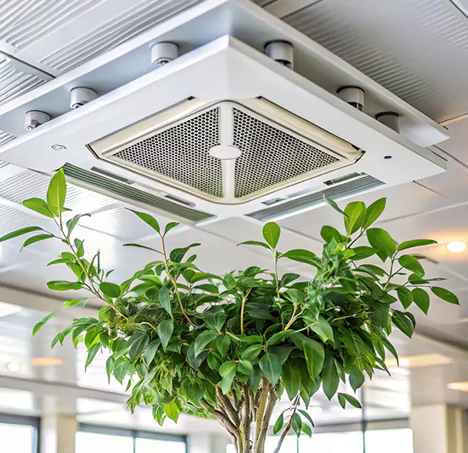 Why Homeowners & Businesses Trust Us in Fort Thomas, KY