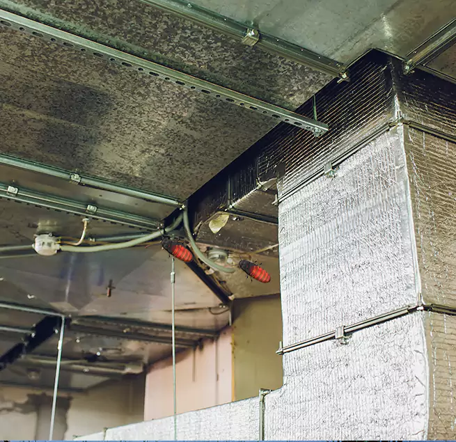 Why Homeowners & Businesses Trust Us Fort Thomas, KY?