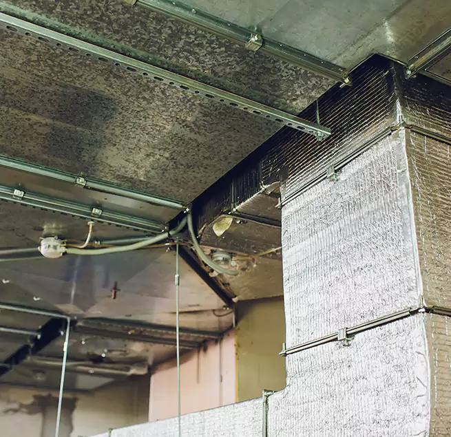 Why Homeowners & Businesses Trust Us in Fort Thomas, KY?